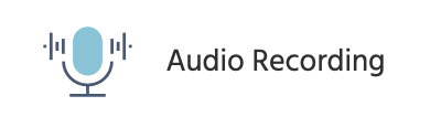 The Audio recording object icon.
