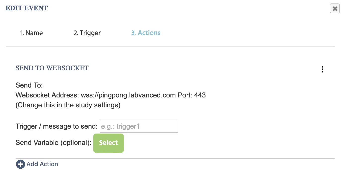 Opciones para la acción Enviar a Websocket.