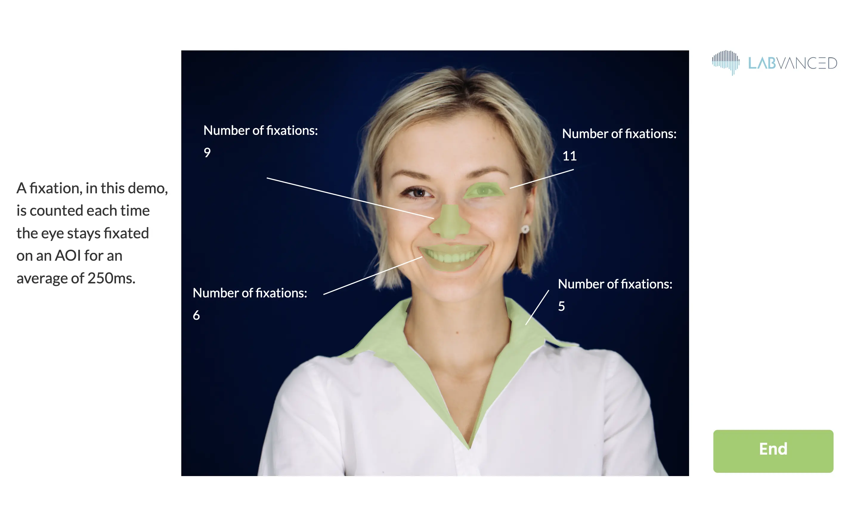 Example of polygon shapes being used as AOIs for eye tracking studies