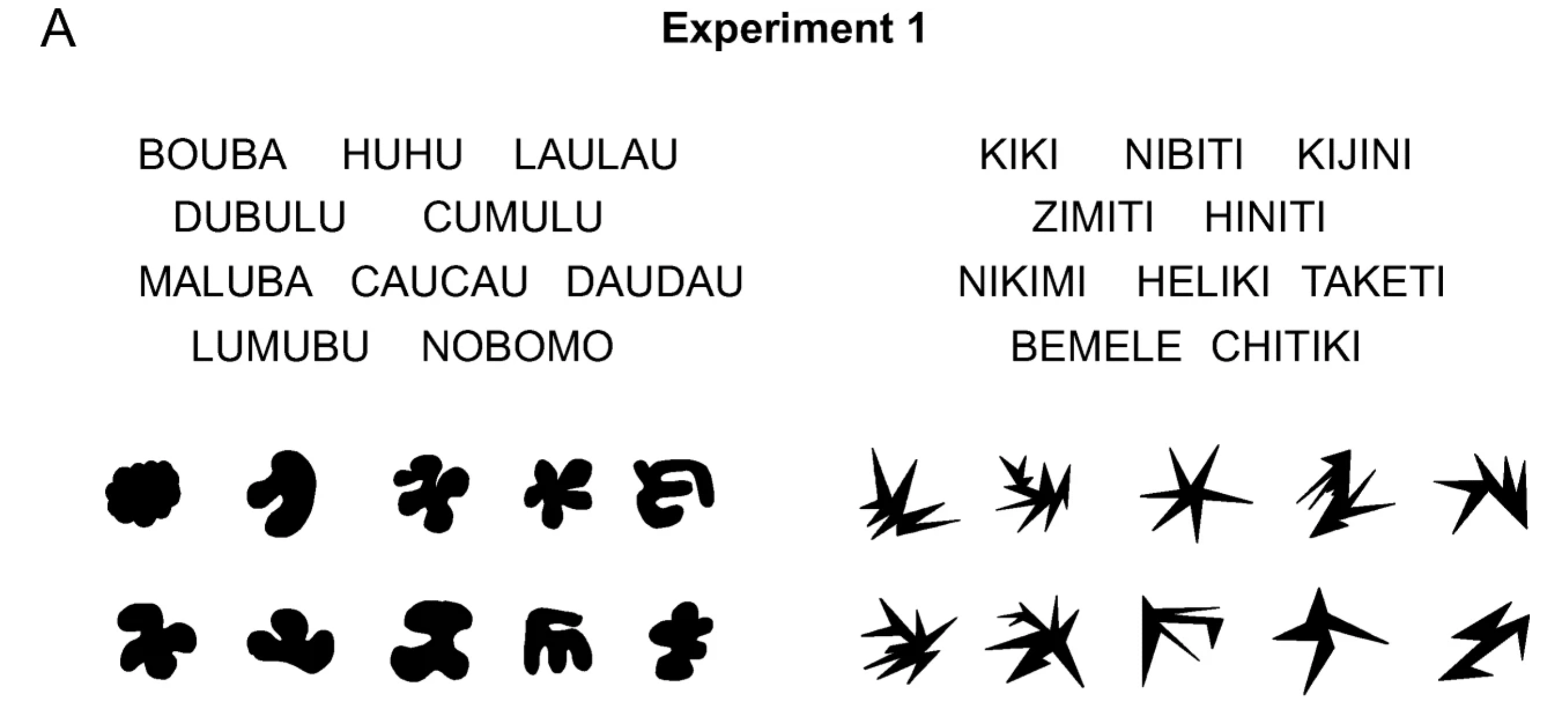 Full list and examples of several bouba kiki shapes and words from an experiment.