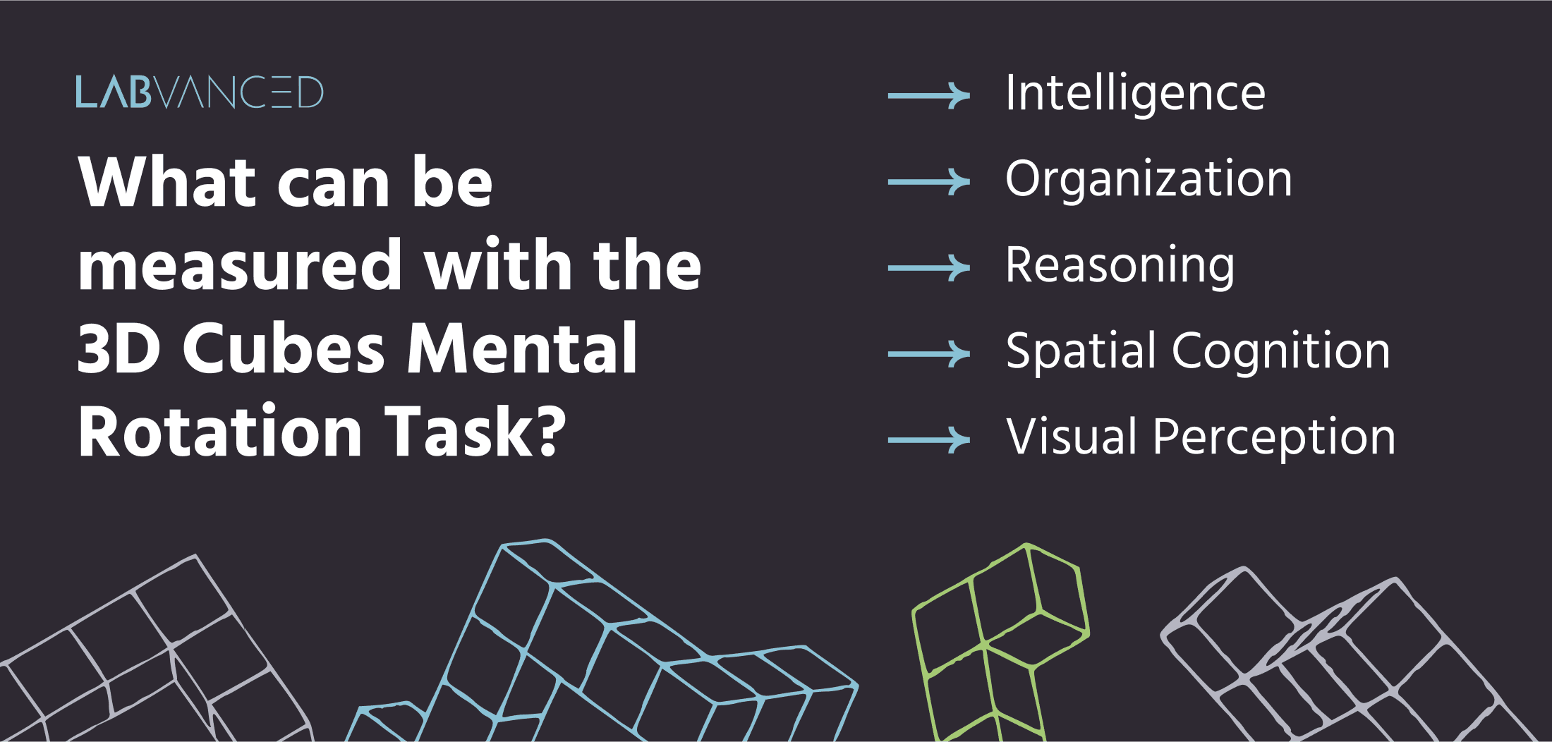 Cognitive processes measured by mental rotation experiments, including 3d thinking.