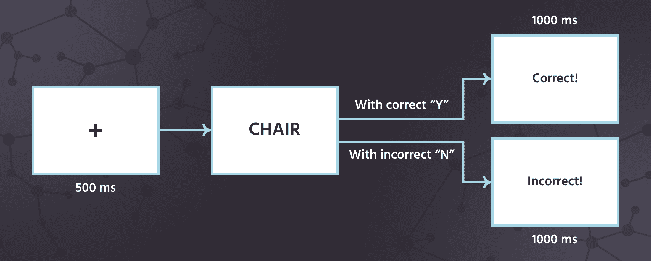 Lexical decision task example where a fixation cross is followed by a string stimuli and participant feedback.