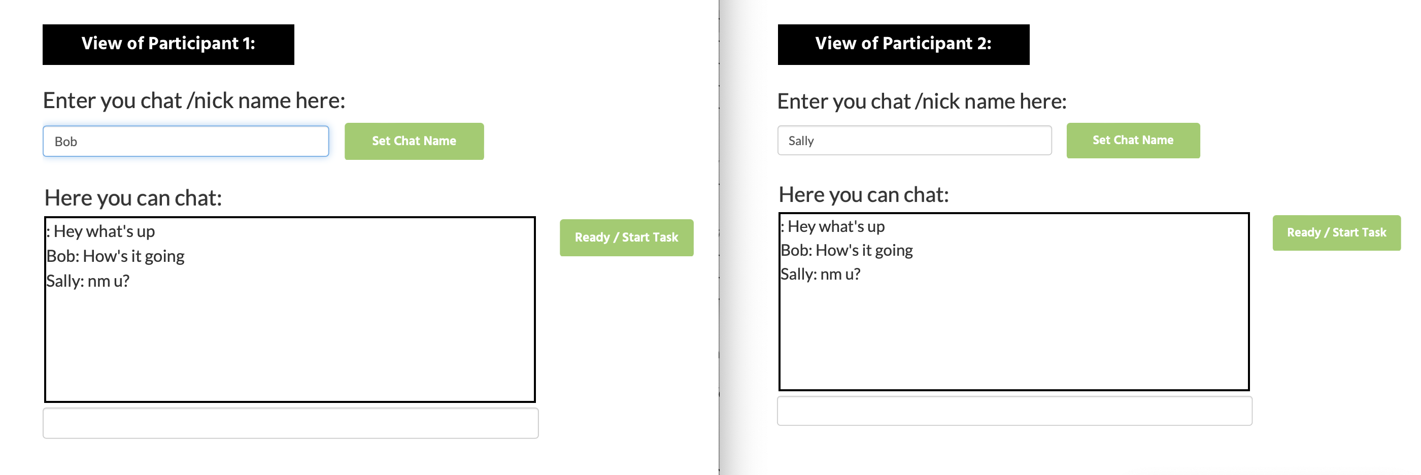 View of the introduction screen where the two subjects are trying the chat box and setting their name in the linguistic picture description task.