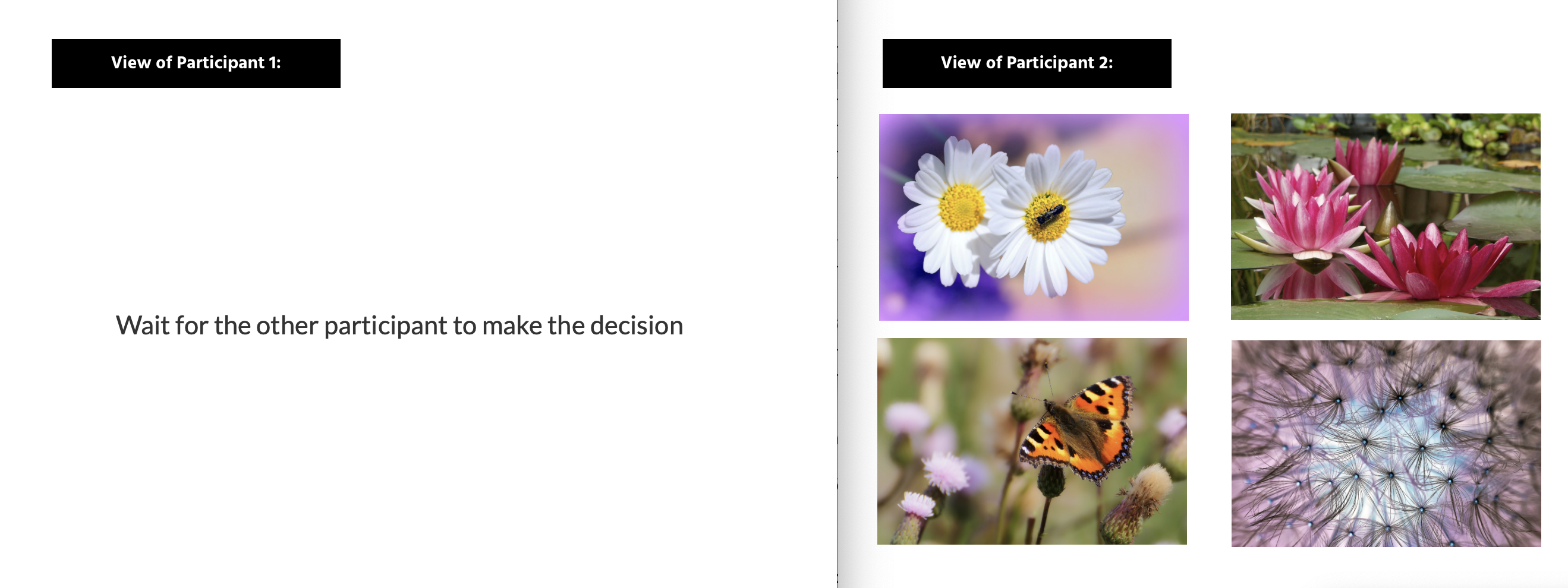 Views of the task where the participant waiting for the other subject to make a selection based on their picture description.