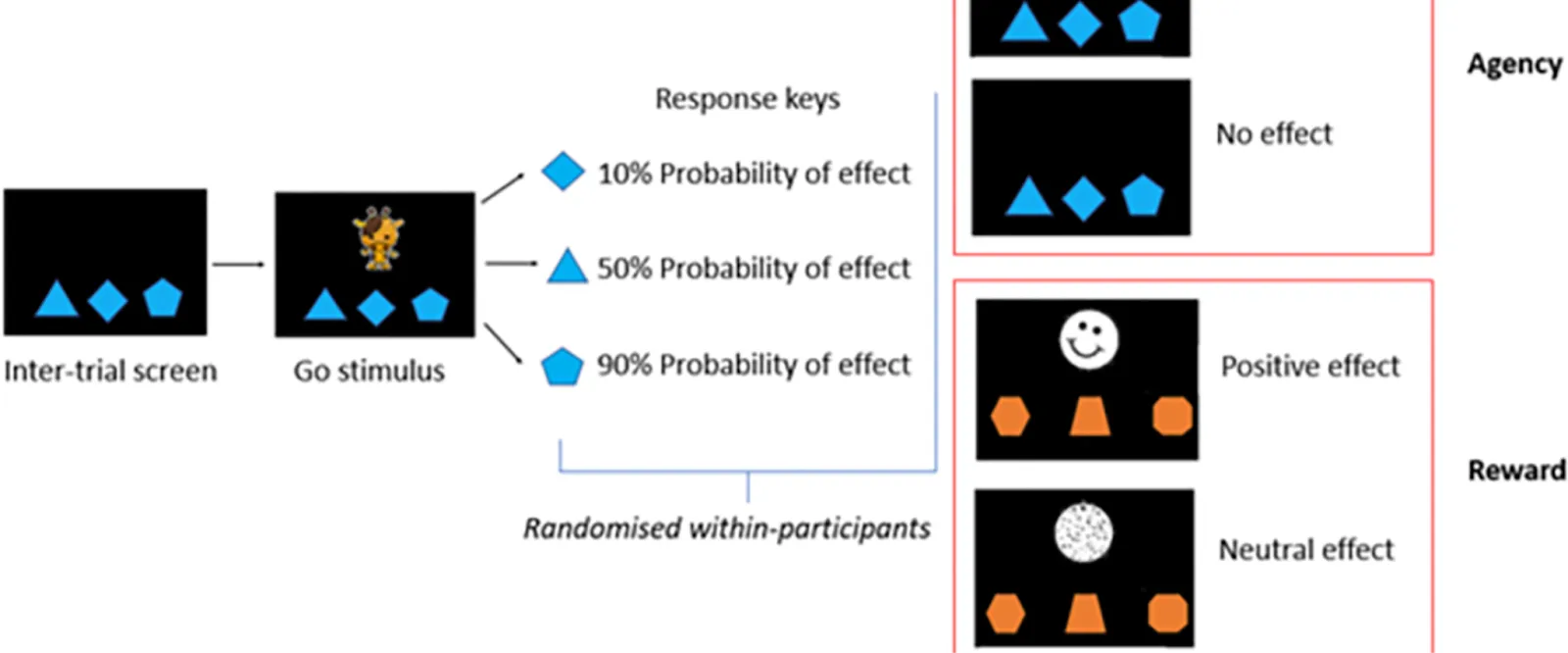 A schematic representation of the Agency and Reward Task from a developmental psychology experiment implemented using Labvanced.